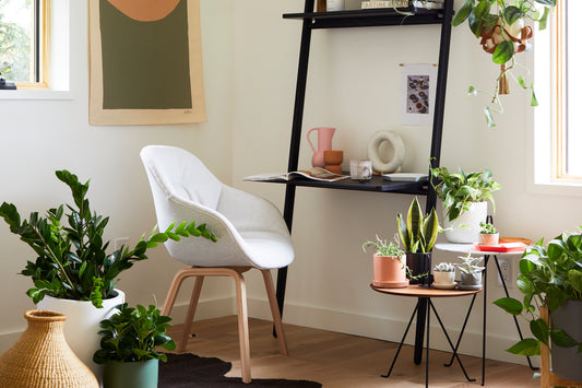 The 5 Best Plants for Your Home Office