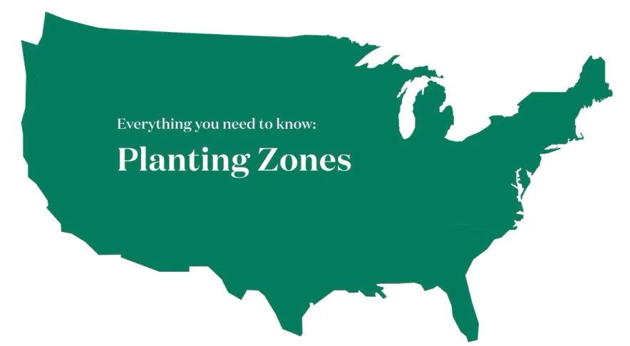 Understanding USDA Plant Hardiness Zones: A Gardener's Guide