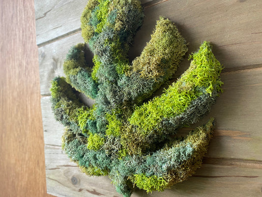 How-To DIY a Preserved Moss Wall