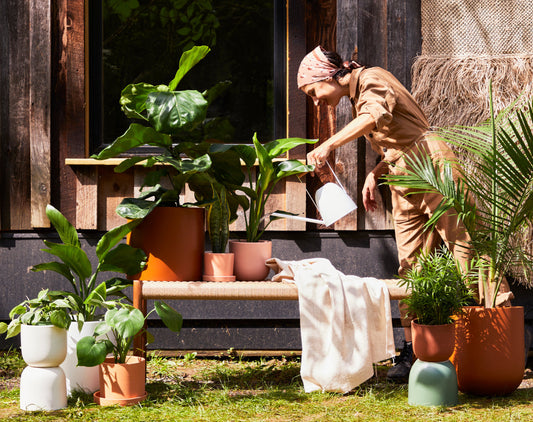 Patio Gardening 101: Growing in Containers