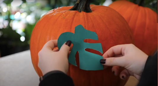 How to Carve a Pumpkin and DIY Plant Stencils