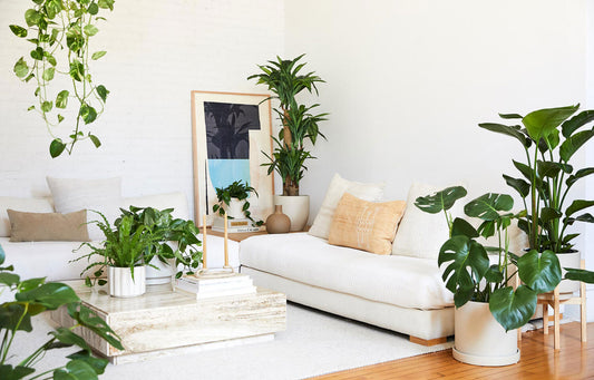 Biggest Plant Trend Predictions for 2022 New Year