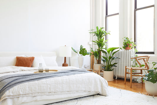 How To: Styling with Real and Faux Plants