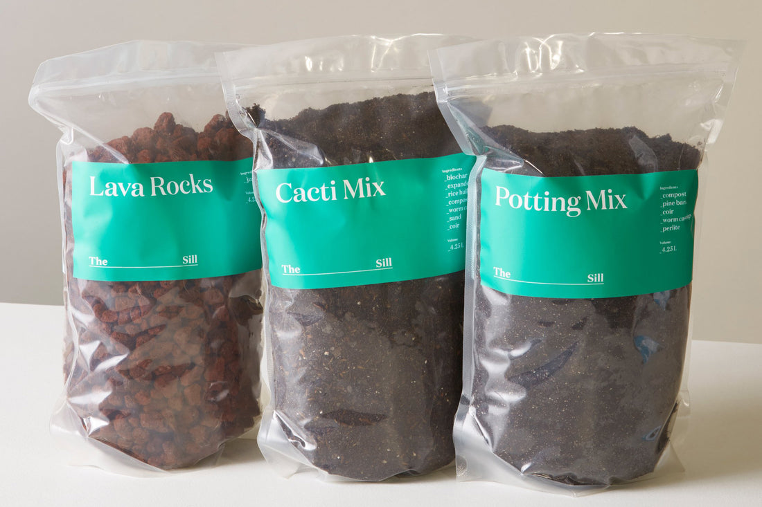 Plant Care: Potting Mix 101