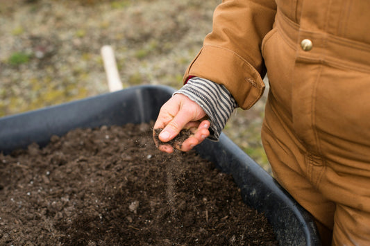 Gardening 101: Understanding Your Soil Type