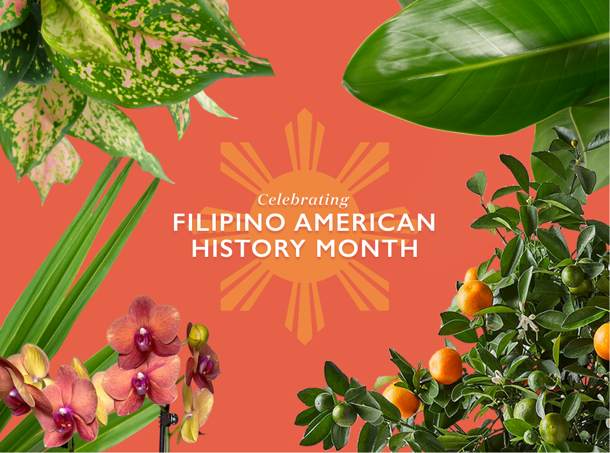 Filipino American History Month Plant Collection