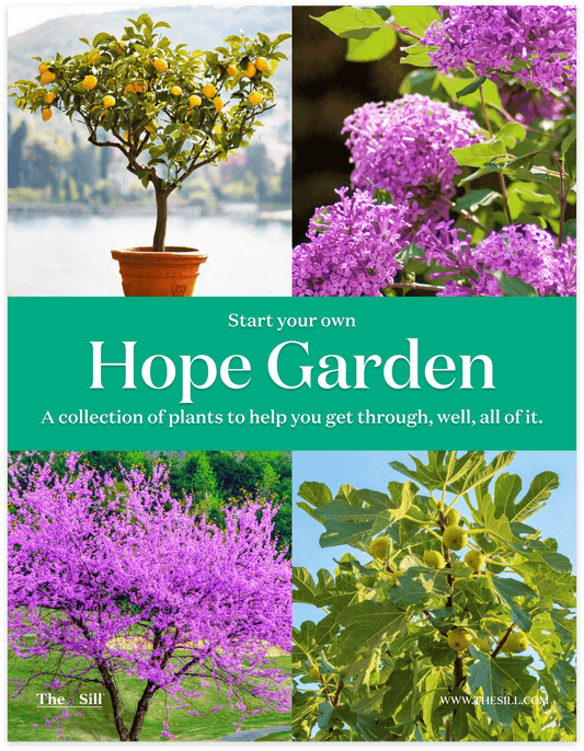 ‘Hope Garden’ Outdoor Bundle