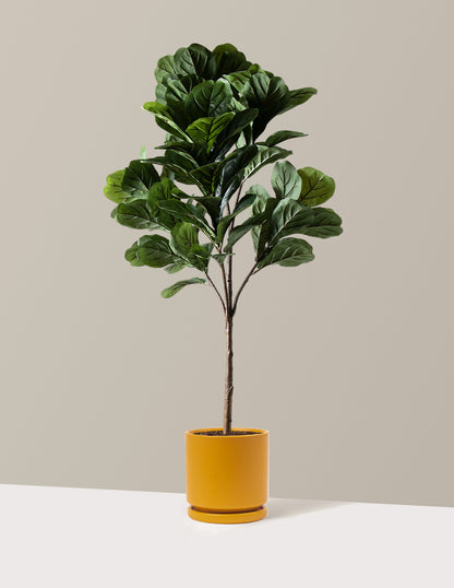 Faux Fiddle Leaf Fig Tree