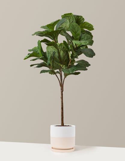 Faux Fiddle Leaf Fig Tree