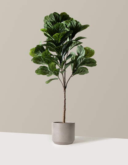 Faux Fiddle Leaf Fig Tree