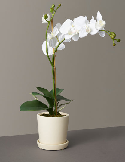 Faux Orchid