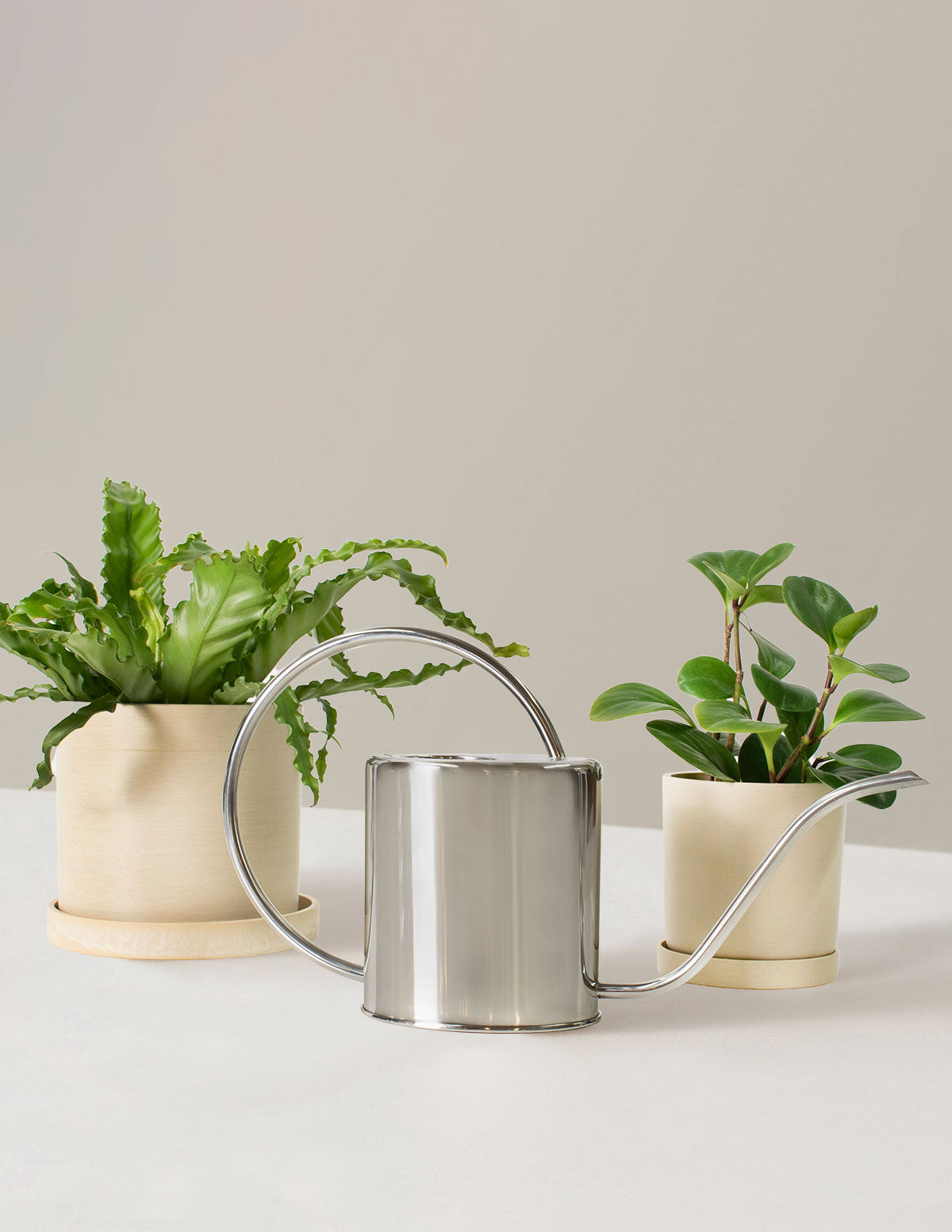 Medium Sierra Watering Can