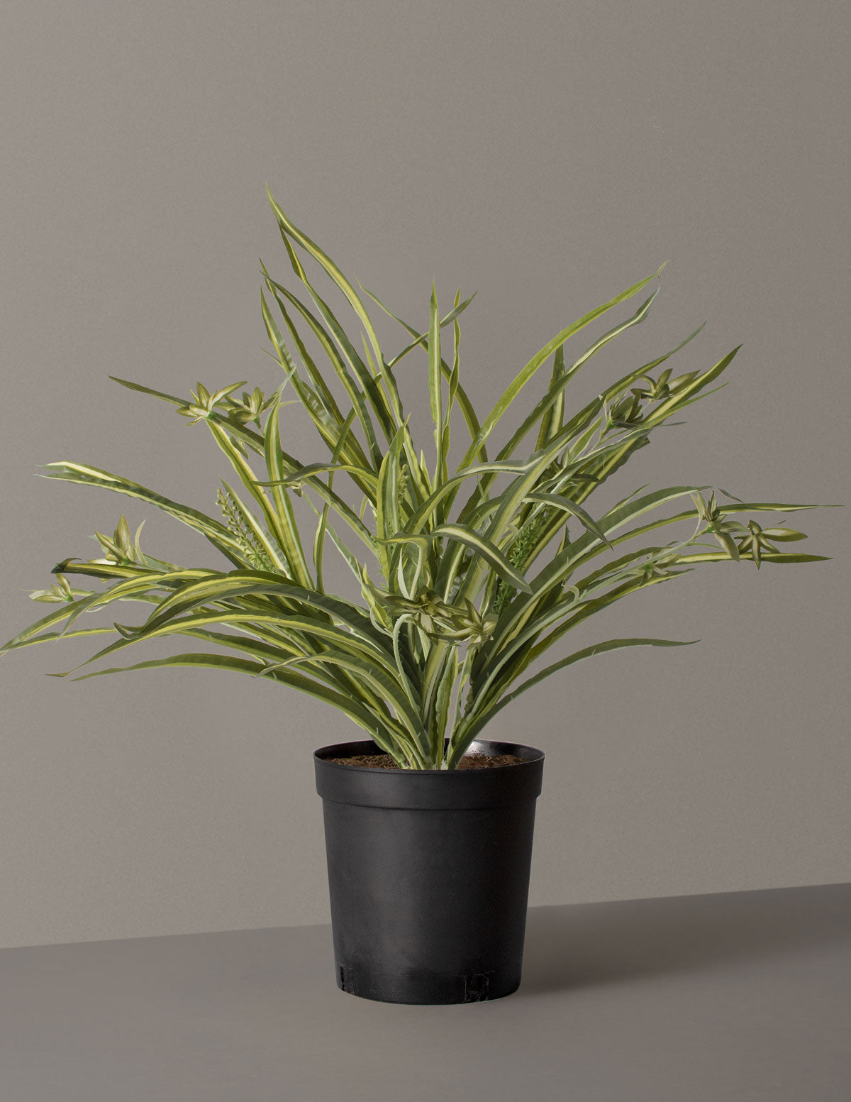 Faux Spider Plant